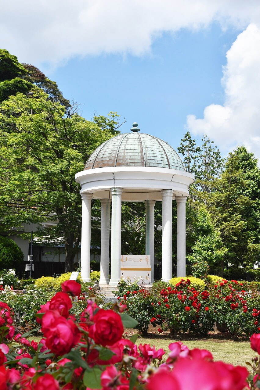 神奈川・横須賀市ヴェルニー公園「春のローズフェスタ」約130種1,300株の春バラが見頃に｜写真14