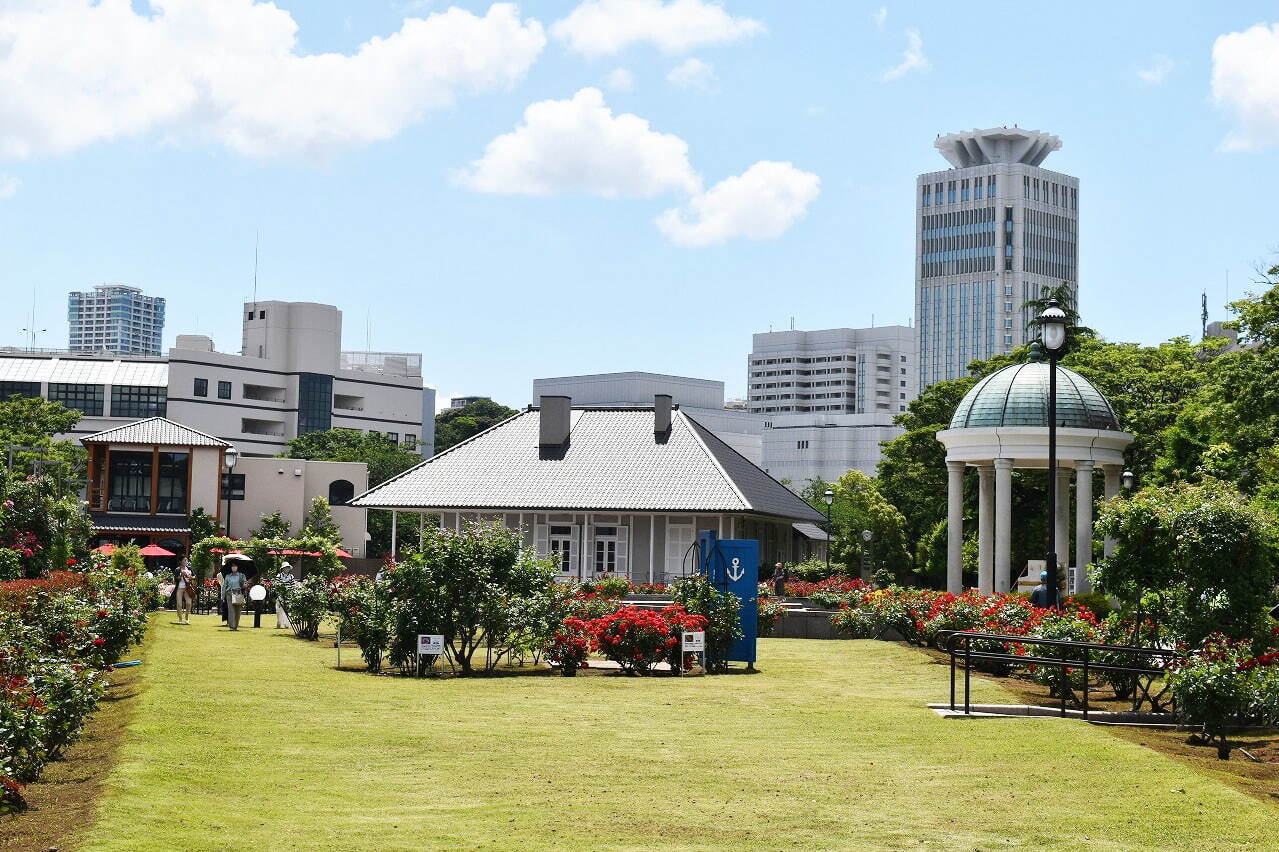 神奈川・横須賀市ヴェルニー公園「春のローズフェスタ」約130種1,300株の春バラが見頃に｜写真8