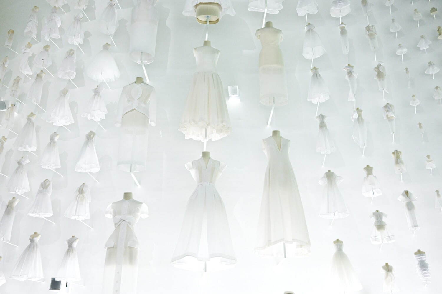 ディオール(DIOR) 大阪・関西万博｜写真29