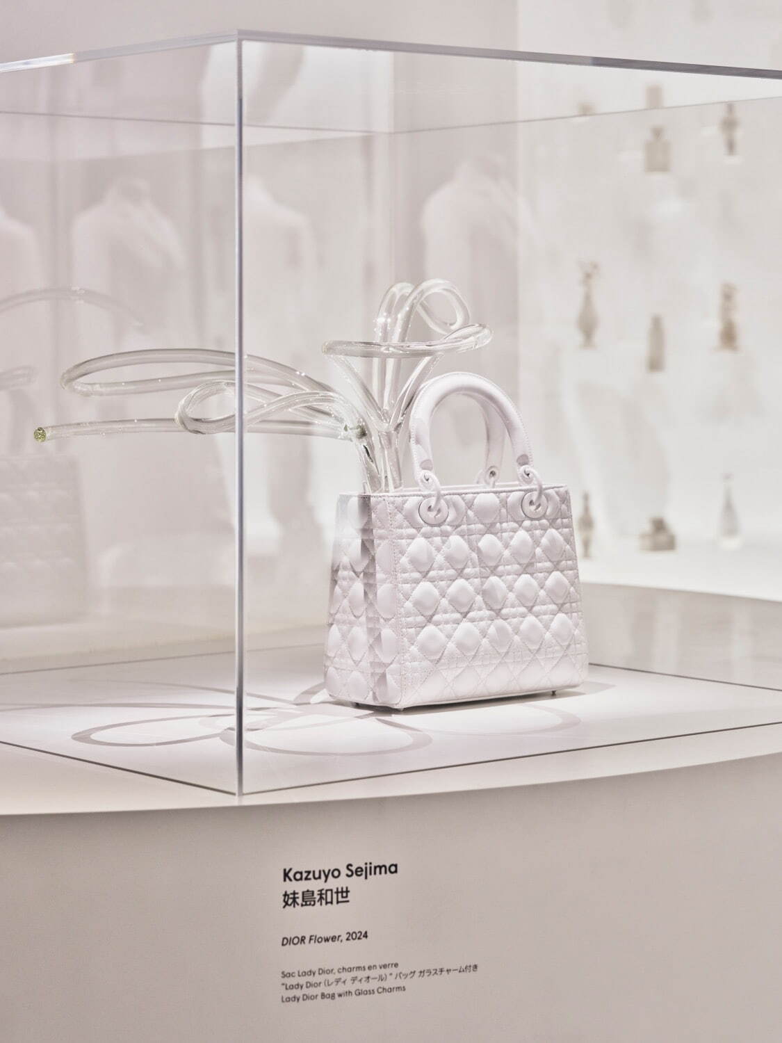 ディオール(DIOR) 大阪・関西万博｜写真11
