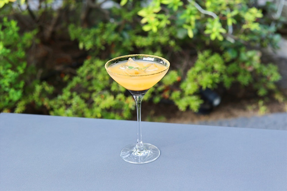 お茶づくしの「抹茶ビアガーデン」東京・御茶ノ水で、日本茶ビール＆カクテル飲み放題！抹茶スイーツも｜写真6