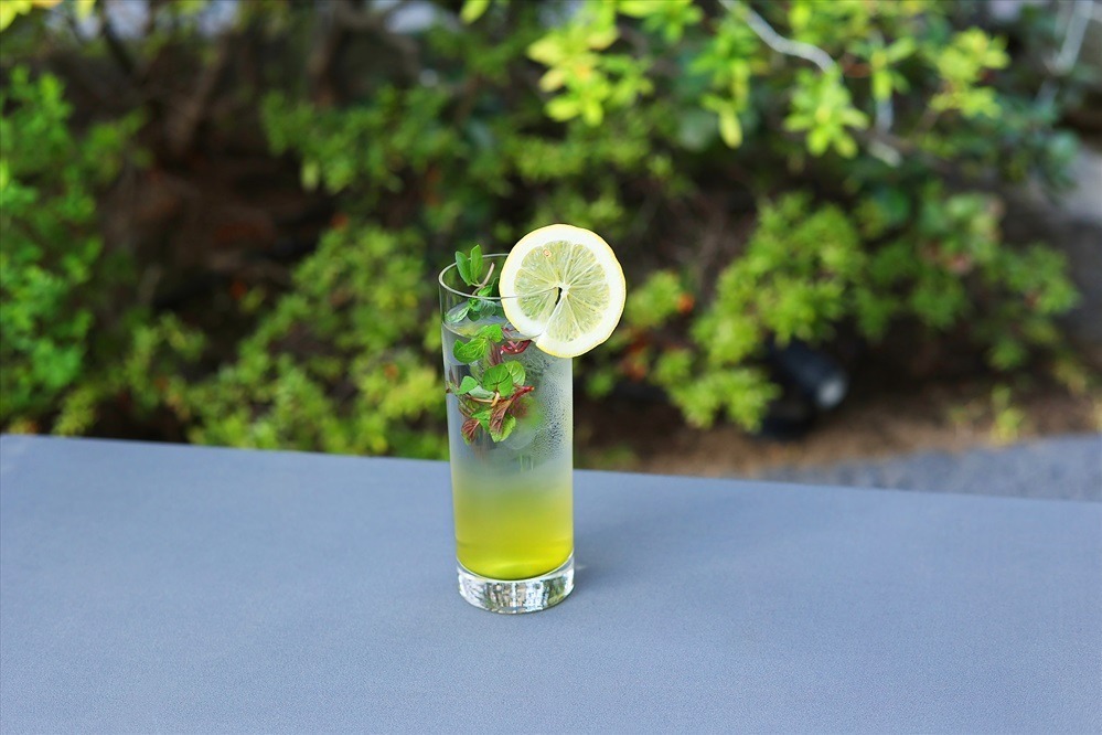 お茶づくしの「抹茶ビアガーデン」東京・御茶ノ水で、日本茶ビール＆カクテル飲み放題！抹茶スイーツも｜写真8
