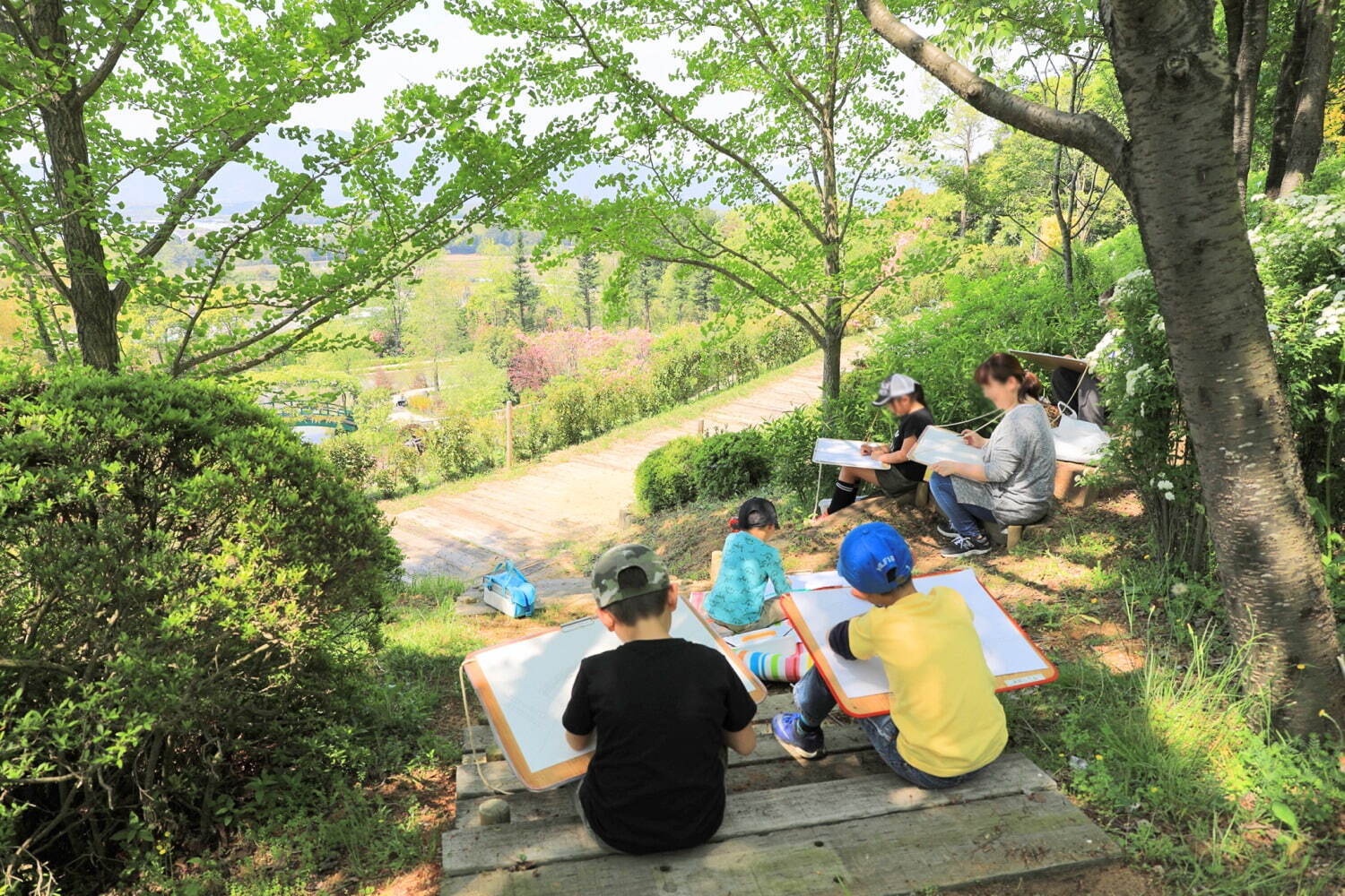 「藤のガーデン」ピンクや紫の花々が開花、“黄金葉”の長藤も - 三重レッドヒル ヒーサーの森で｜写真6