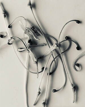 エルニ(ELENI) 2025年春夏ウィメンズコレクション  - 写真4