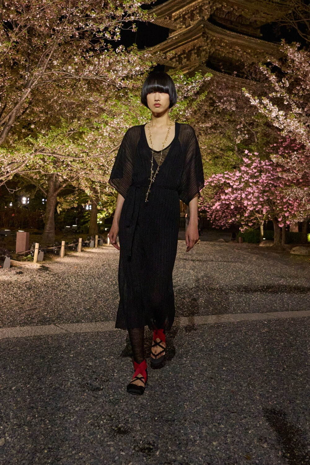 ディオール 2025年秋<span>コレクション</span> - 写真2