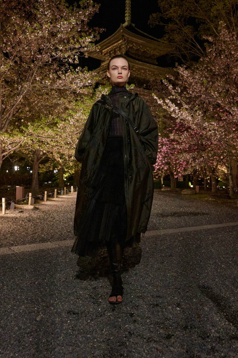 ディオール 2025年秋<span>コレクション</span> - 写真30