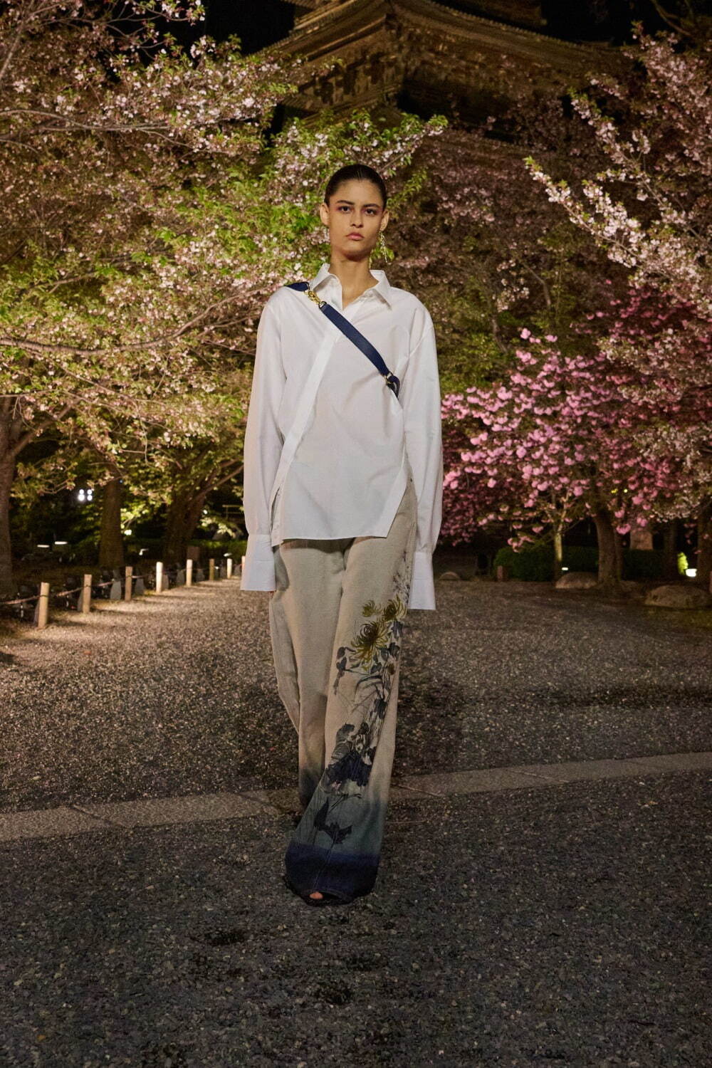 ディオール 2025年秋<span>コレクション</span> - 写真36