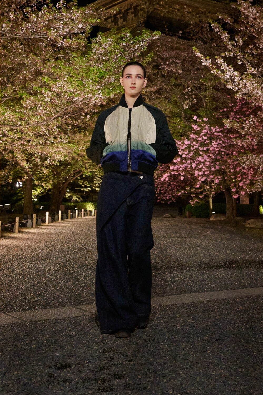 ディオール(DIOR) 2025年秋ウィメンズコレクション  - 写真39
