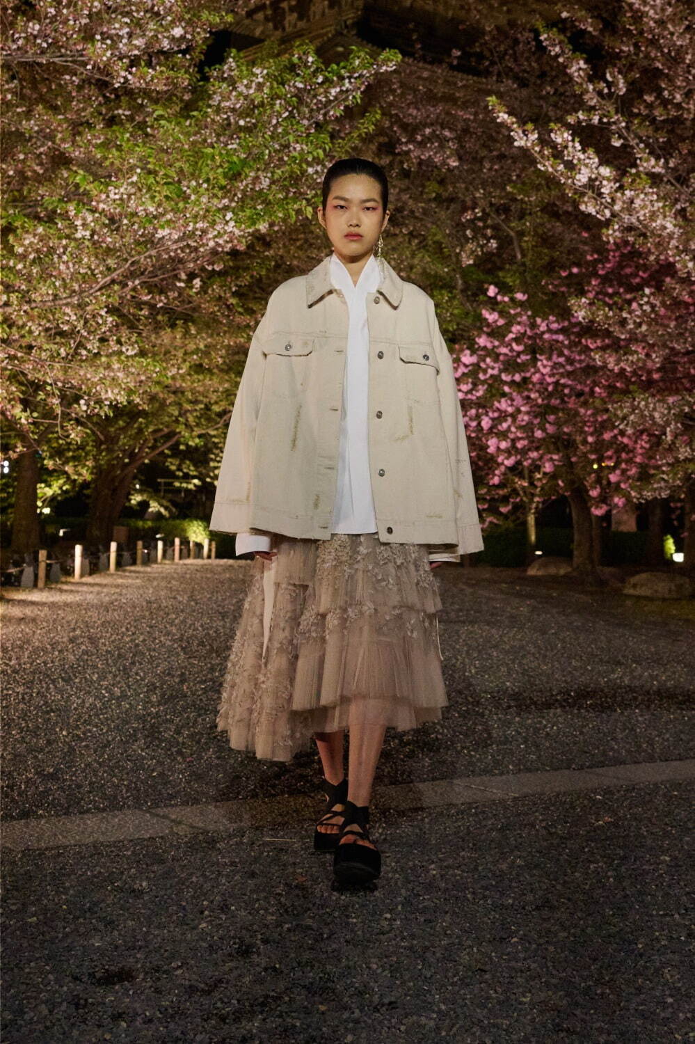 ディオール 2025年秋<span>コレクション</span> - 写真49