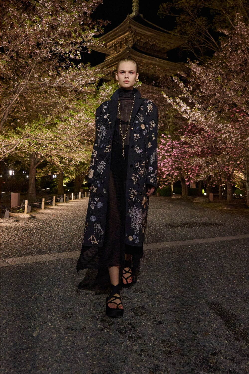 ディオール 2025年秋<span>コレクション</span> - 写真55