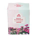 ロイズ(ROYCE') 限定ローズスイーツ｜写真6