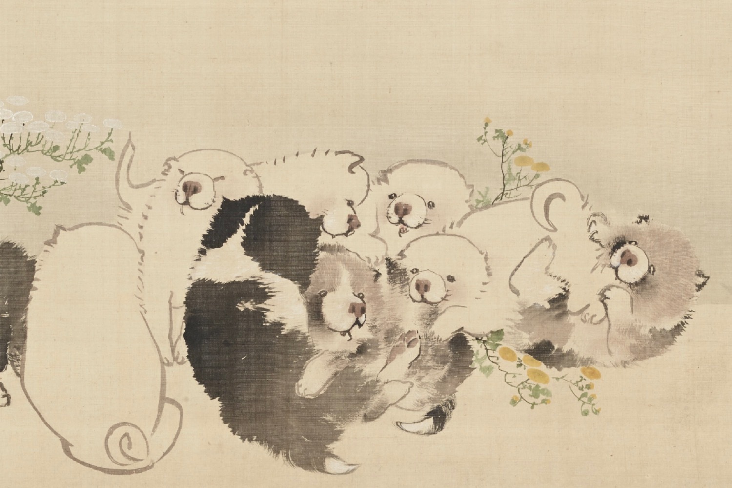 企画展｜長沢蘆雪、東京初の展覧会が府中市美術館で26年開催 - 子犬がじゃれあう《菊花子犬図》など公開