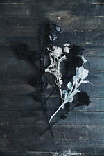 ワイズ(Y's), リミ フゥ(LIMI feu) ワイズ / ワイズフォーメン / リミ フゥ 渋谷パルコ｜写真13