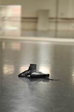 レペット“ダンスシューズ”着想のハイカットシューズ、流麗ラインを描くビオトープ限定モデル｜写真21