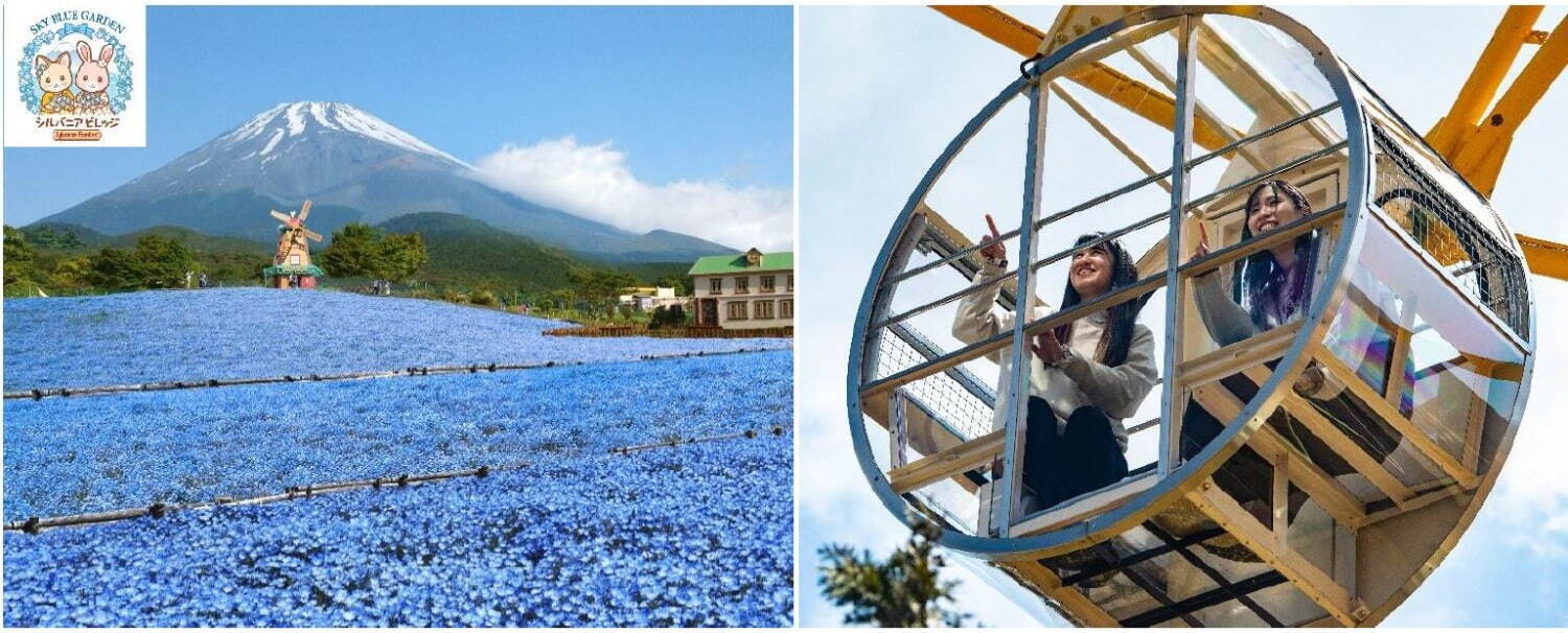 富士山望む”天空のネモフィラ畑”＆透明ゴンドラ、静岡の遊園地ぐりんぱで｜写真2