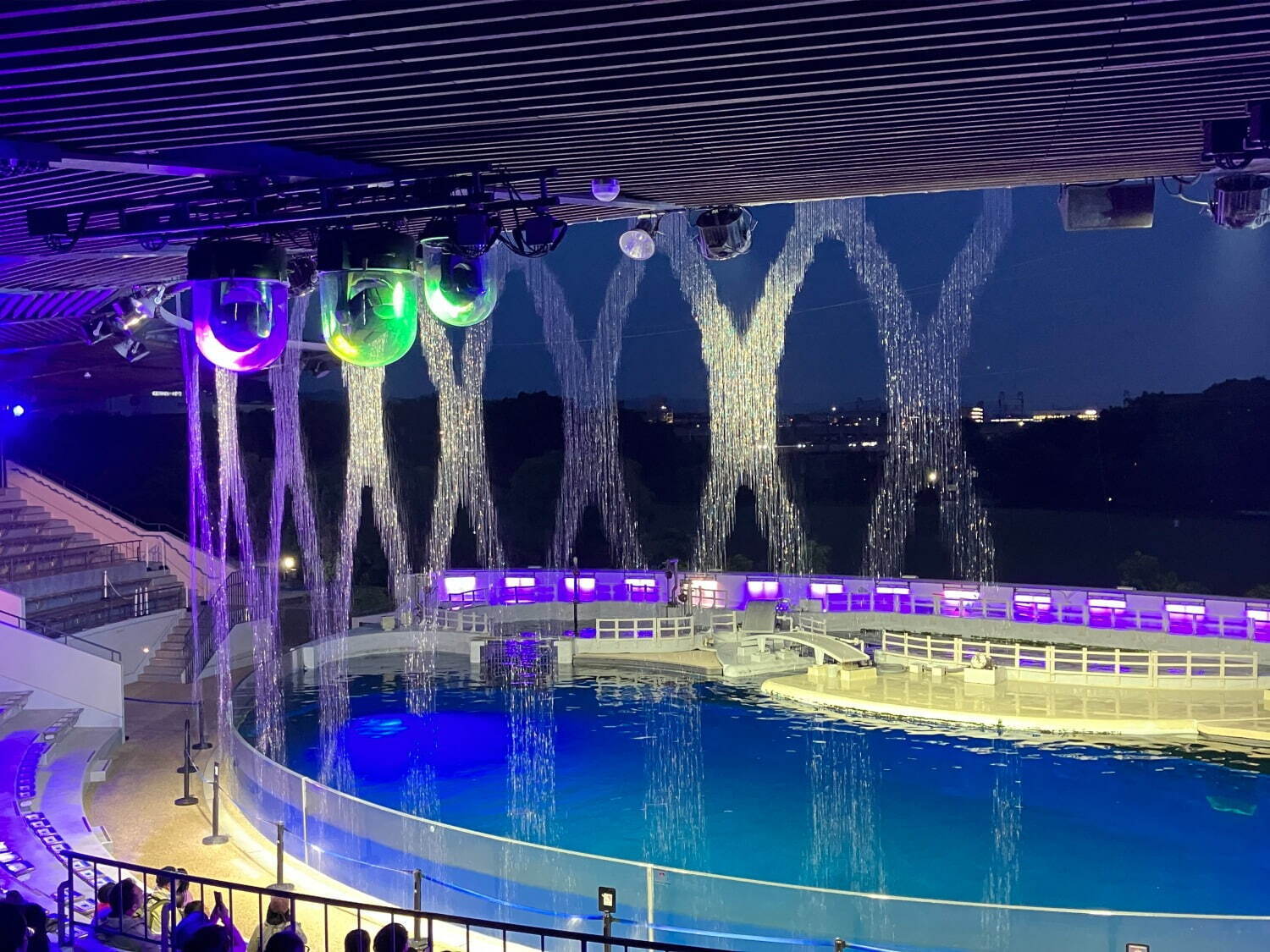 京都水族館「夜のすいぞくかん」“すやすや眠る”ペンギンを観察、幻想的に光るクラゲソーダも｜写真3