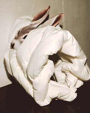 へリン ドット サイ(HeRIN.CYE) 2024-25年秋冬ウィメンズコレクション  - 写真8