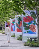 “バラ咲き誇る”東京ガーデンテラス紀尾井町の春イベント、薔薇スイーツや彩り豊かなローズガーデン｜写真13