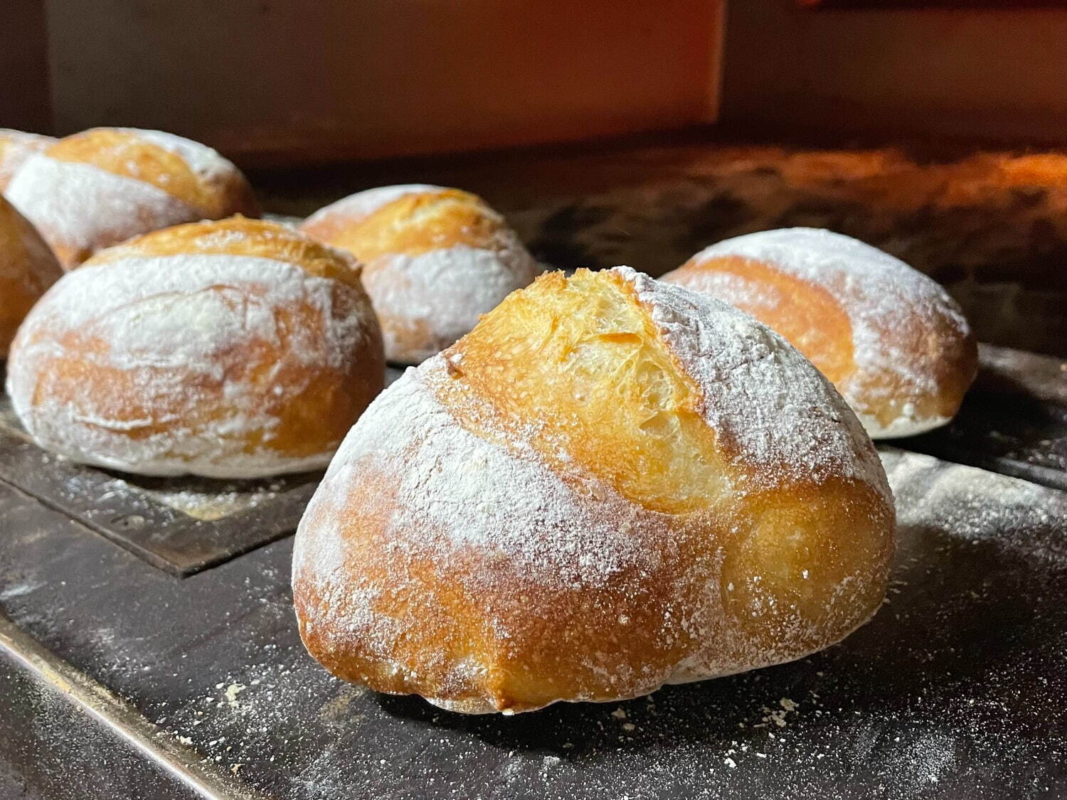 全国のパンや焼き菓子が集結「こむぎフェス」国営昭和記念公園で「東京蚤の市」と同時開催｜写真2