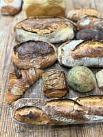 全国のパンや焼き菓子が集結「こむぎフェス」国営昭和記念公園で「東京蚤の市」と同時開催｜写真16