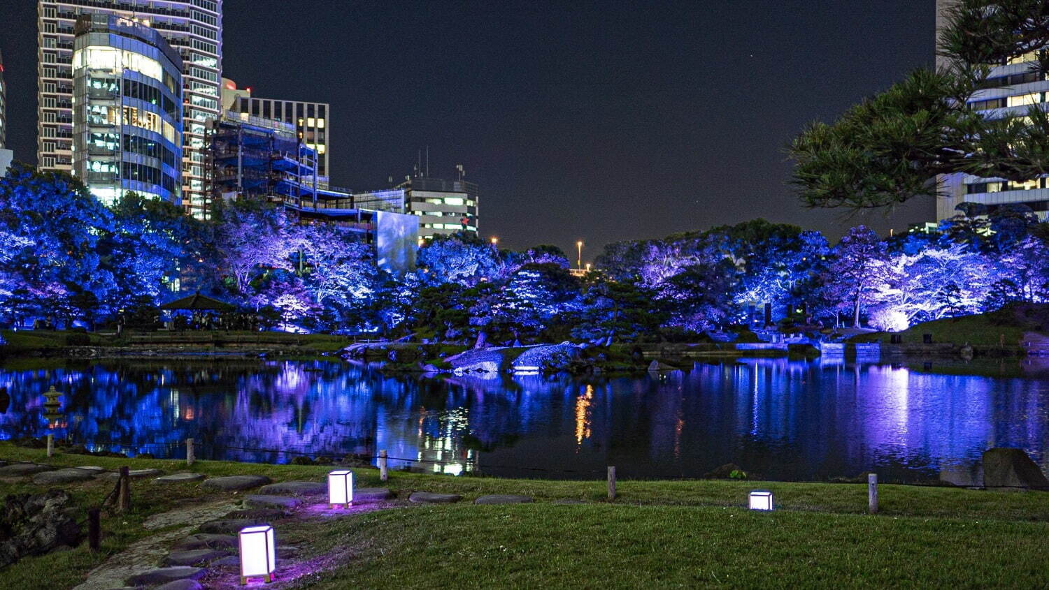 旧芝離宮恩賜庭園で「旧芝離宮夜会」庭園全体を彩る光と音のライトアップショー｜写真2