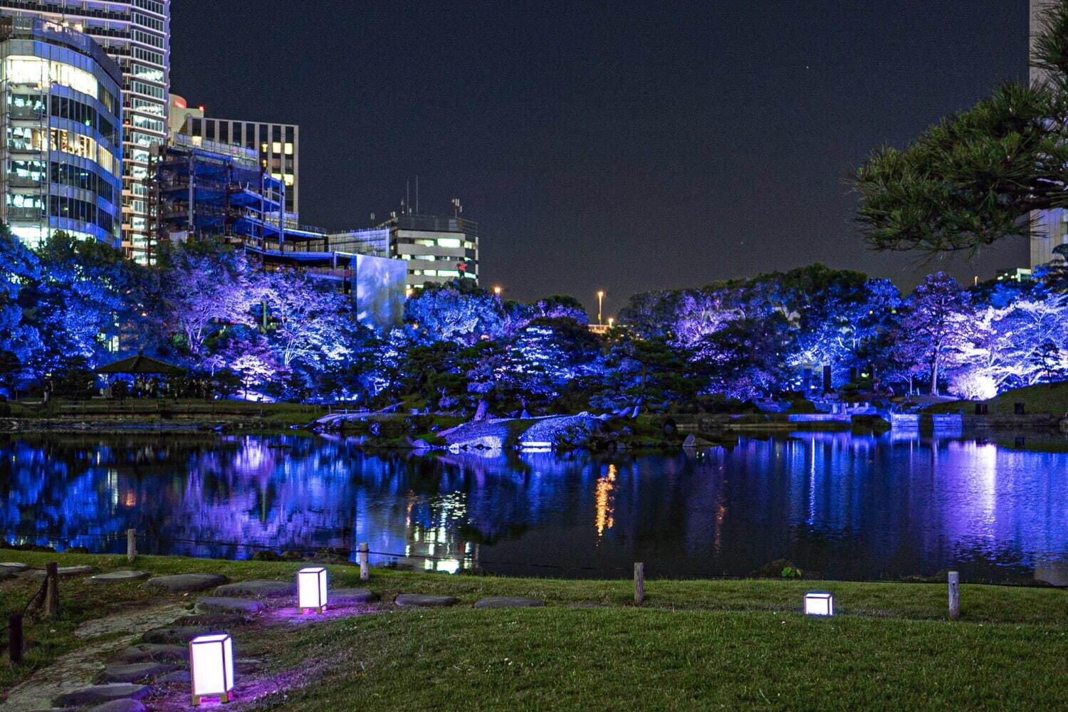 名所(庭園・寺社・紅葉)｜旧芝離宮恩賜庭園で「旧芝離宮夜会」庭園全体を彩る光と音のライトアップショー