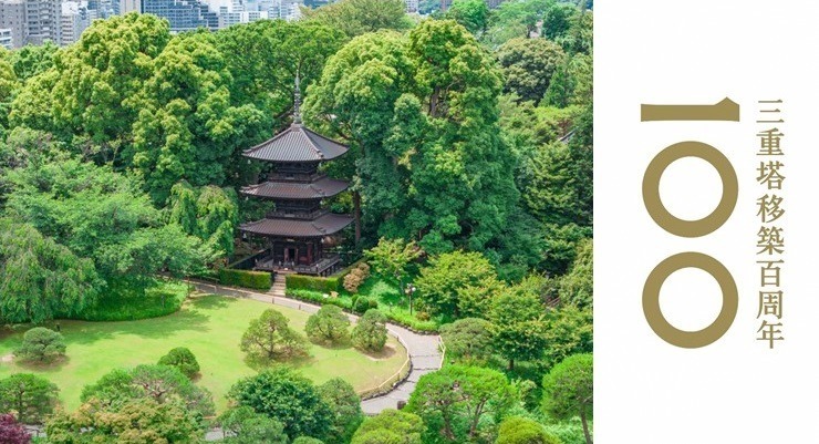 ホテル椿山荘東京で蛍を鑑賞「ほたるの夕べ」日本庭園に輝くゲンジボタルの光｜写真4