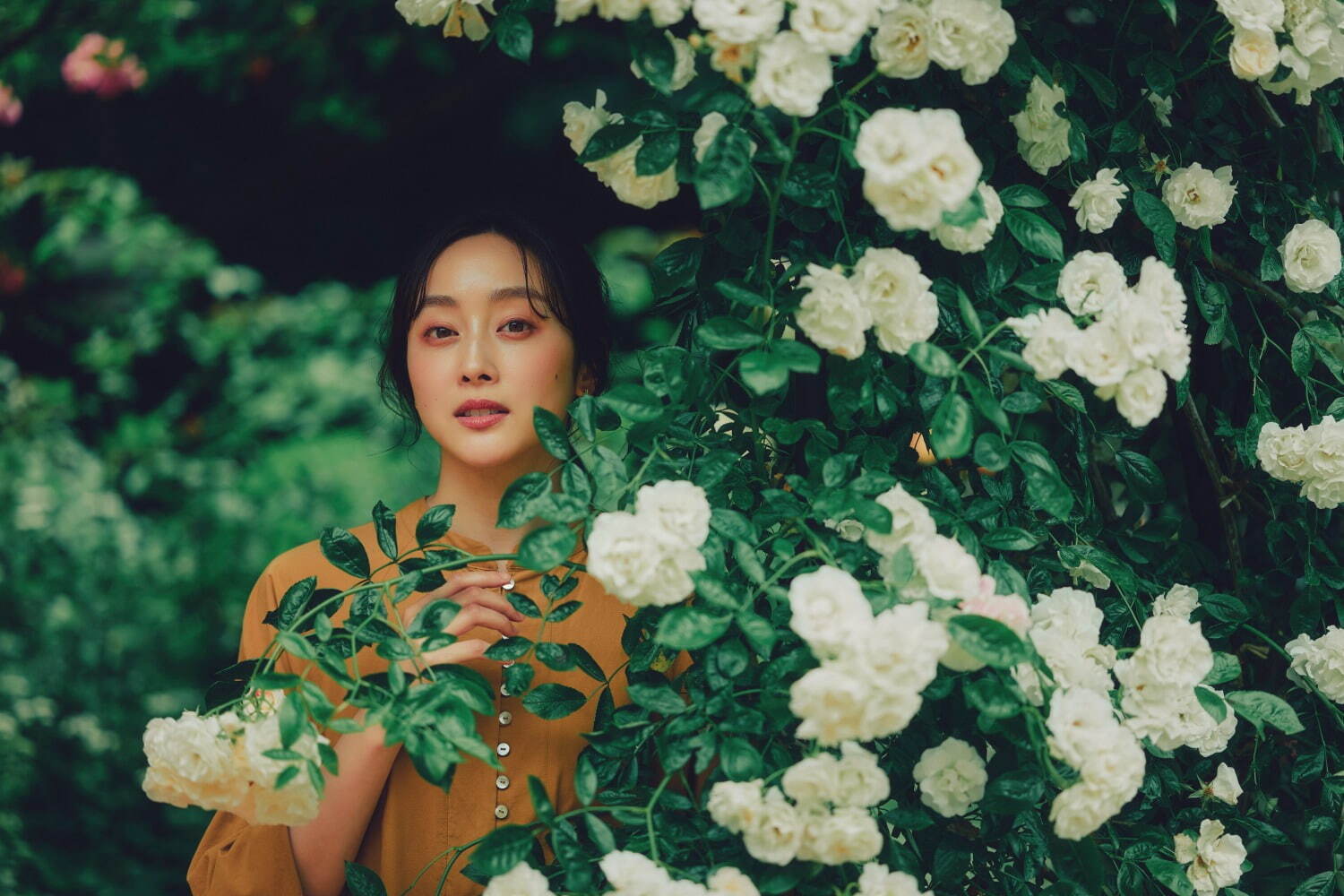 神戸布引ハーブ園、ラベンダー＆ローズが咲き誇る初夏のフラワーイベント｜写真19