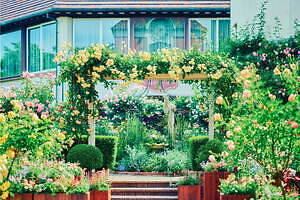 神戸布引ハーブ園、ラベンダー＆ローズが咲き誇る初夏のフラワーイベント｜写真3