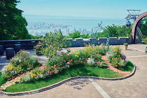 神戸布引ハーブ園、ラベンダー＆ローズが咲き誇る初夏のフラワーイベント｜写真15