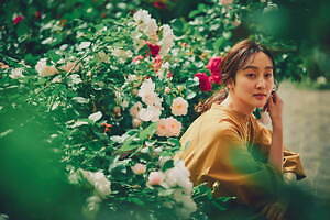 神戸布引ハーブ園、ラベンダー＆ローズが咲き誇る初夏のフラワーイベント｜写真7