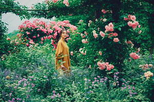 神戸布引ハーブ園、ラベンダー＆ローズが咲き誇る初夏のフラワーイベント｜写真2