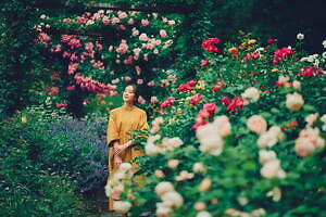 神戸布引ハーブ園、ラベンダー＆ローズが咲き誇る初夏のフラワーイベント｜写真16