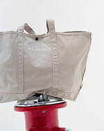 エルエルビーンのサロン アダム エ ロペ限定グローサリートートバッグ、グレーなど人気カラー復刻｜写真1