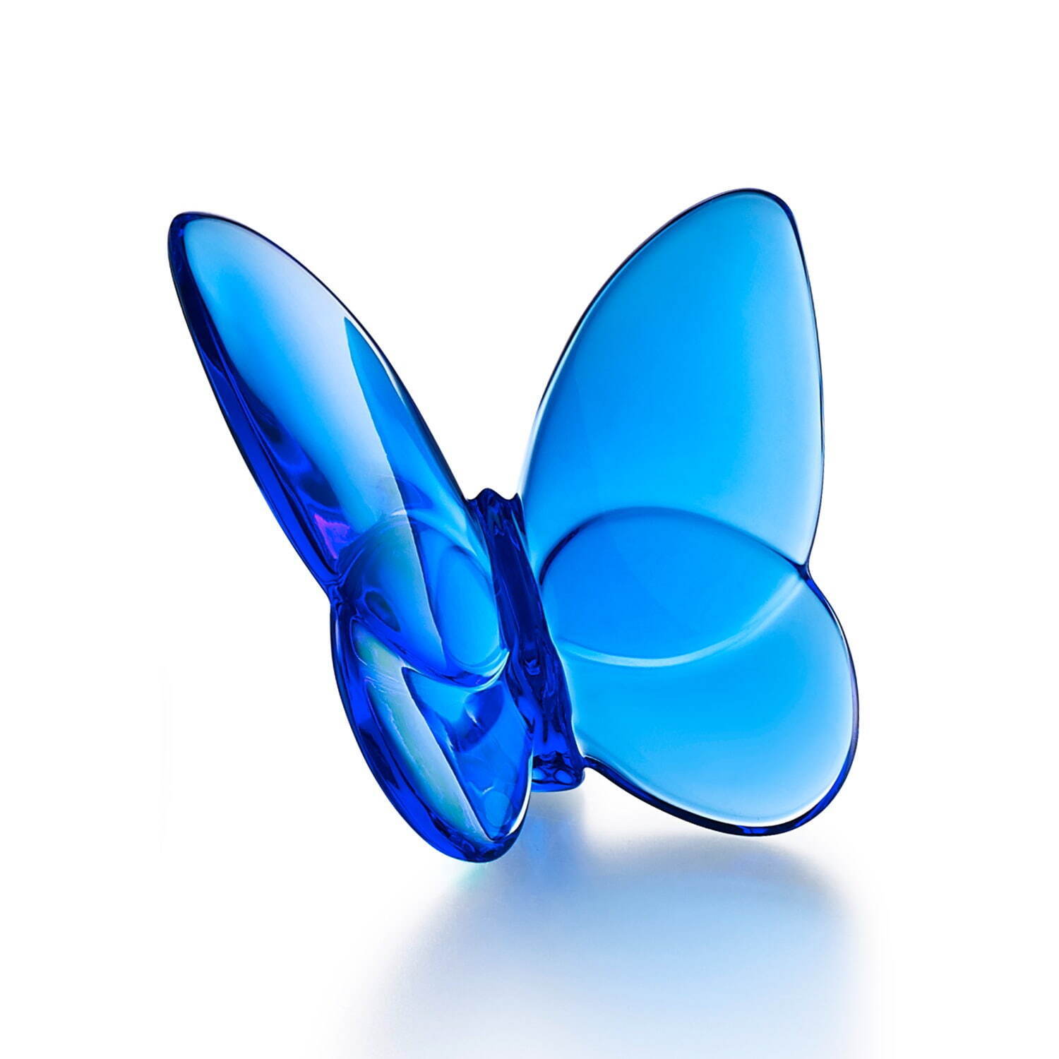 ラッキーバタフライ(ブルー) 27,500円