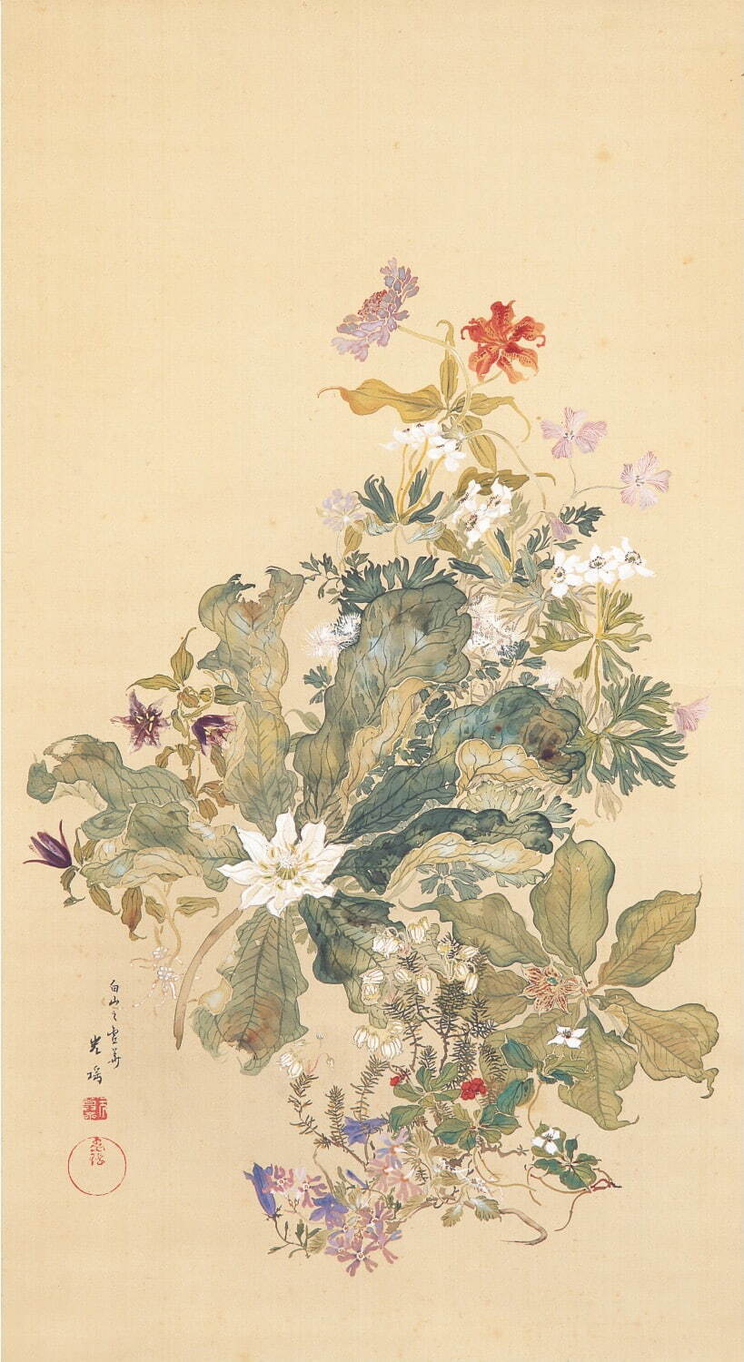 石崎光瑤、宝冠花風鳥の図、額装用画集の一部 石崎光瑤、宝冠花風鳥の図、額装用画集の一部