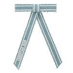 ディオール(DIOR) CD｜写真3