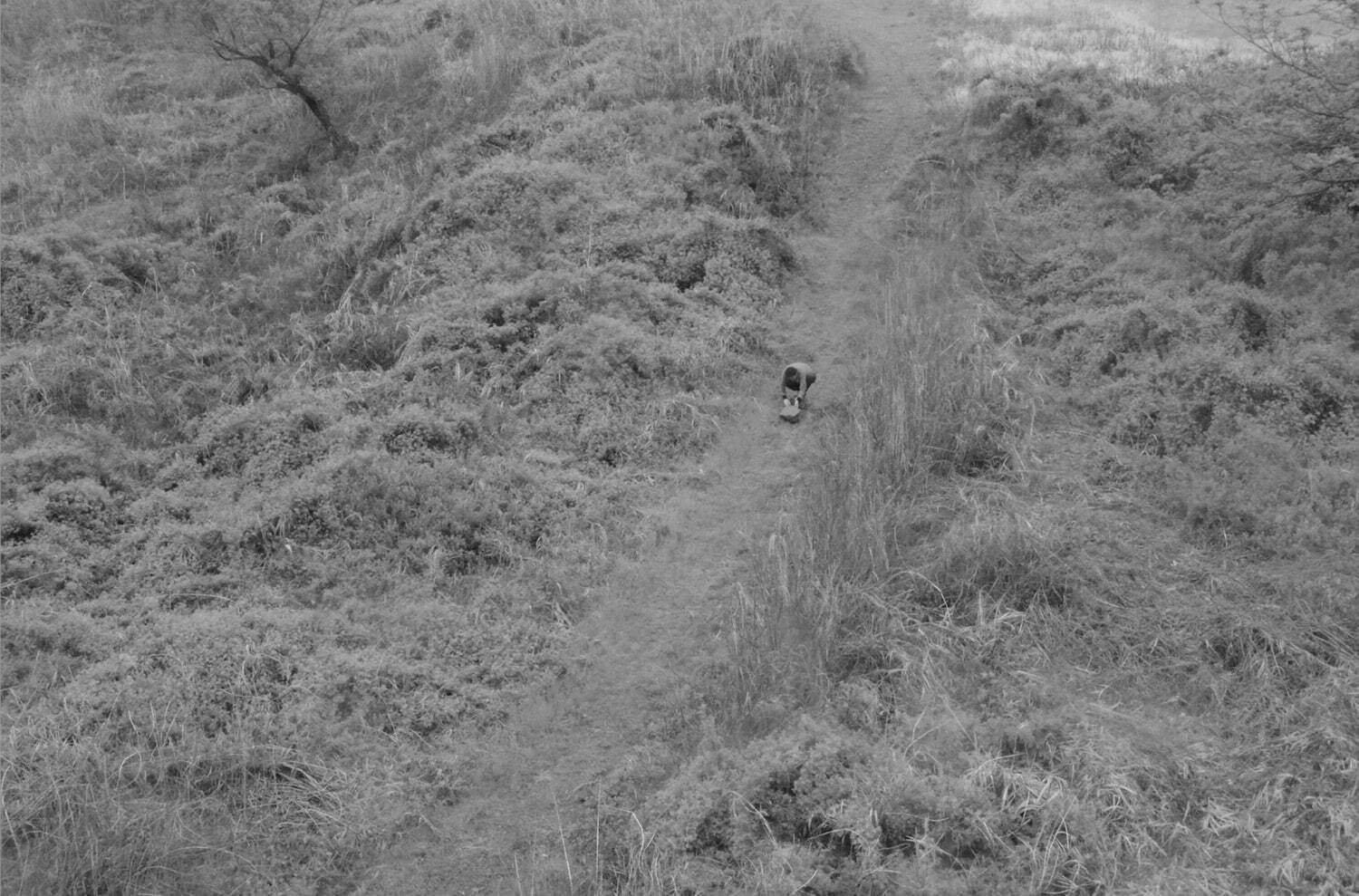 潘逸舟 《わたしは家を運び、家はわたしを移す》 2019年 国立国際美術館蔵
©Ishu Han