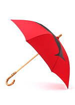 Y’sの晴雨兼用傘 - 大きなロゴ＆プレート付き、トラディショナル ウェザーウェアとコラボ｜写真4