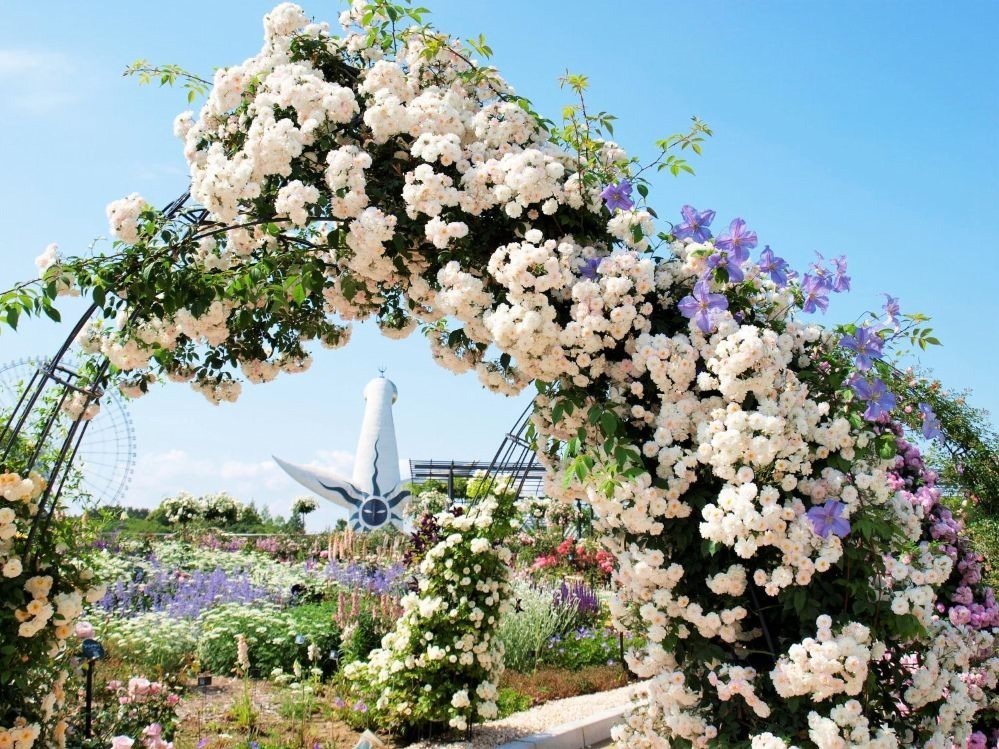写真提供：万博記念公園マネジメント・パートナーズ