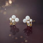 オデュース4℃(EAU DOUCE4℃) 夜の遊園地｜写真14