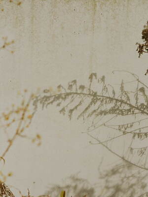 ジエダ(JieDa) 2025-26年秋冬ウィメンズ&メンズコレクション  - 写真8