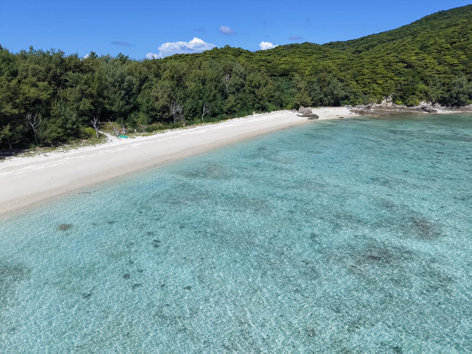 慶良間諸島の絶景ビーチ特集、世界を魅了する”ケラマブルー”とは？｜写真26