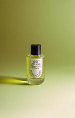 ノンフィクション(NONFICTION) ザ・フラワーズ｜写真23