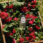 ディプティック(Diptyque) 夏の果樹園｜写真29