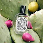 ディプティック(Diptyque) 夏の果樹園｜写真21