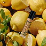 ディプティック(Diptyque) 夏の果樹園｜写真25