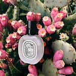 ディプティック(Diptyque) 夏の果樹園｜写真22