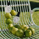 ディプティック(Diptyque) 夏の果樹園｜写真23