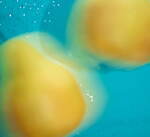 シロ(SHIRO) ペアー｜写真4